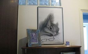 A Casa Di Dodo